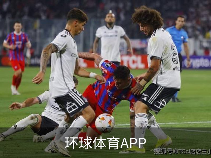 环球体育APP概况